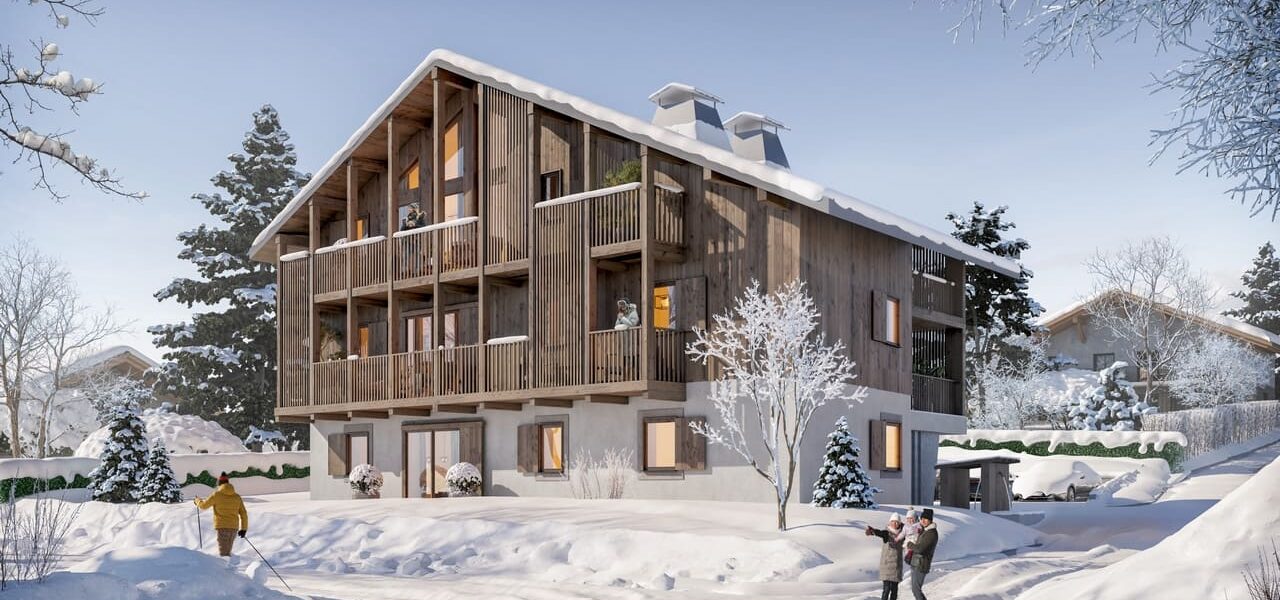 Investment friendly Properties in French alps