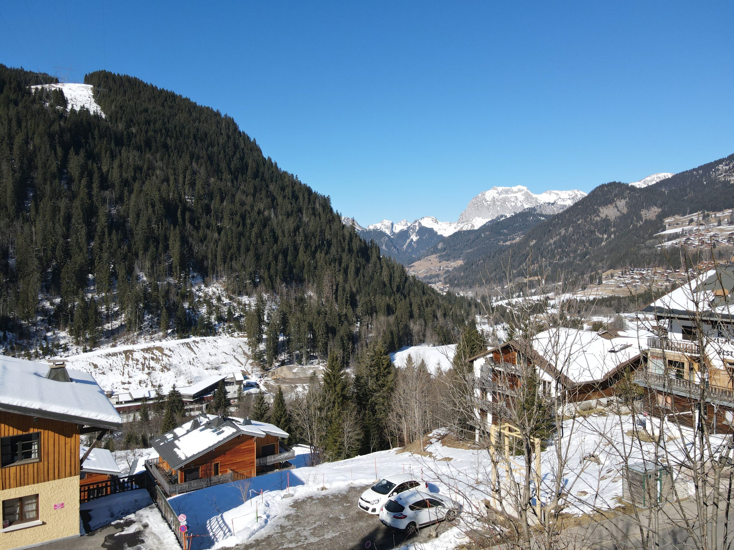 ski properties in Châtel